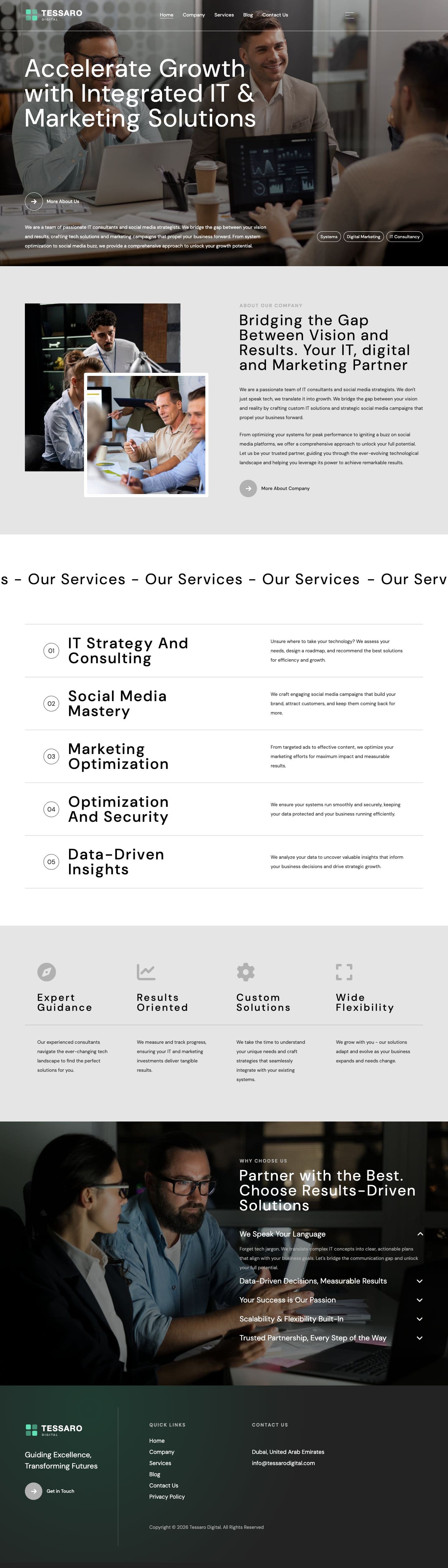 Tessaro Digital website, full page